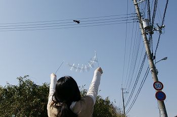カラス撃退