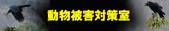 動物被害対策室入口